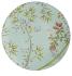 American dinner plate turquoise background - Raynaud